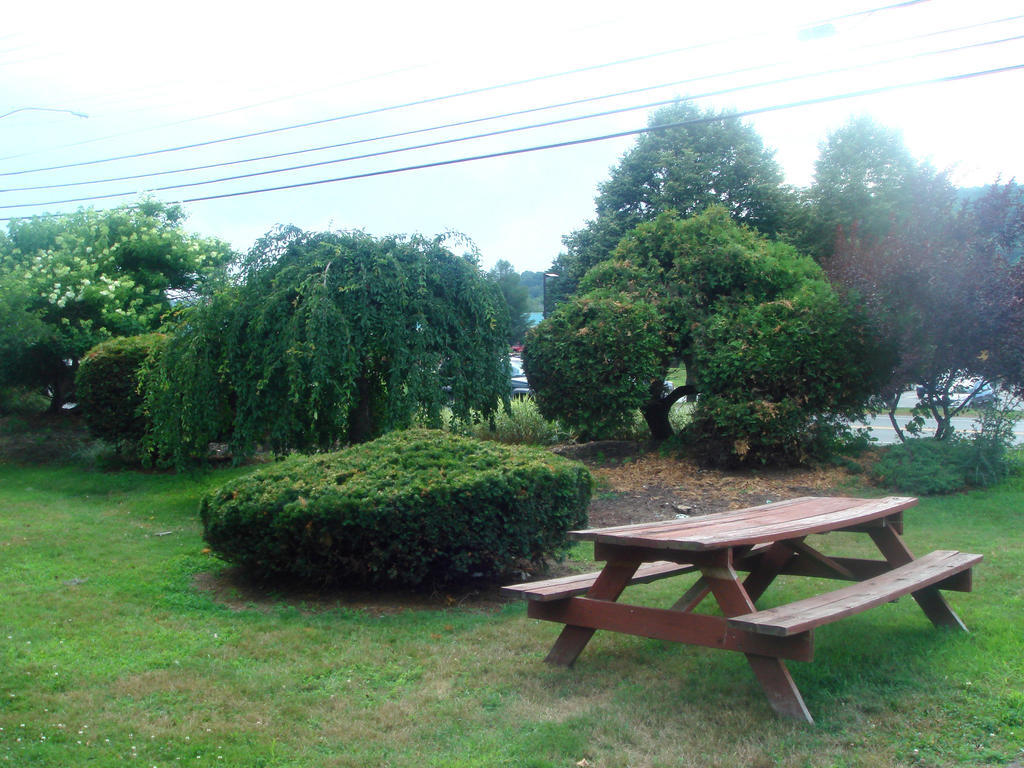 בראטלבורו The Black Mountain Inn מראה חיצוני תמונה